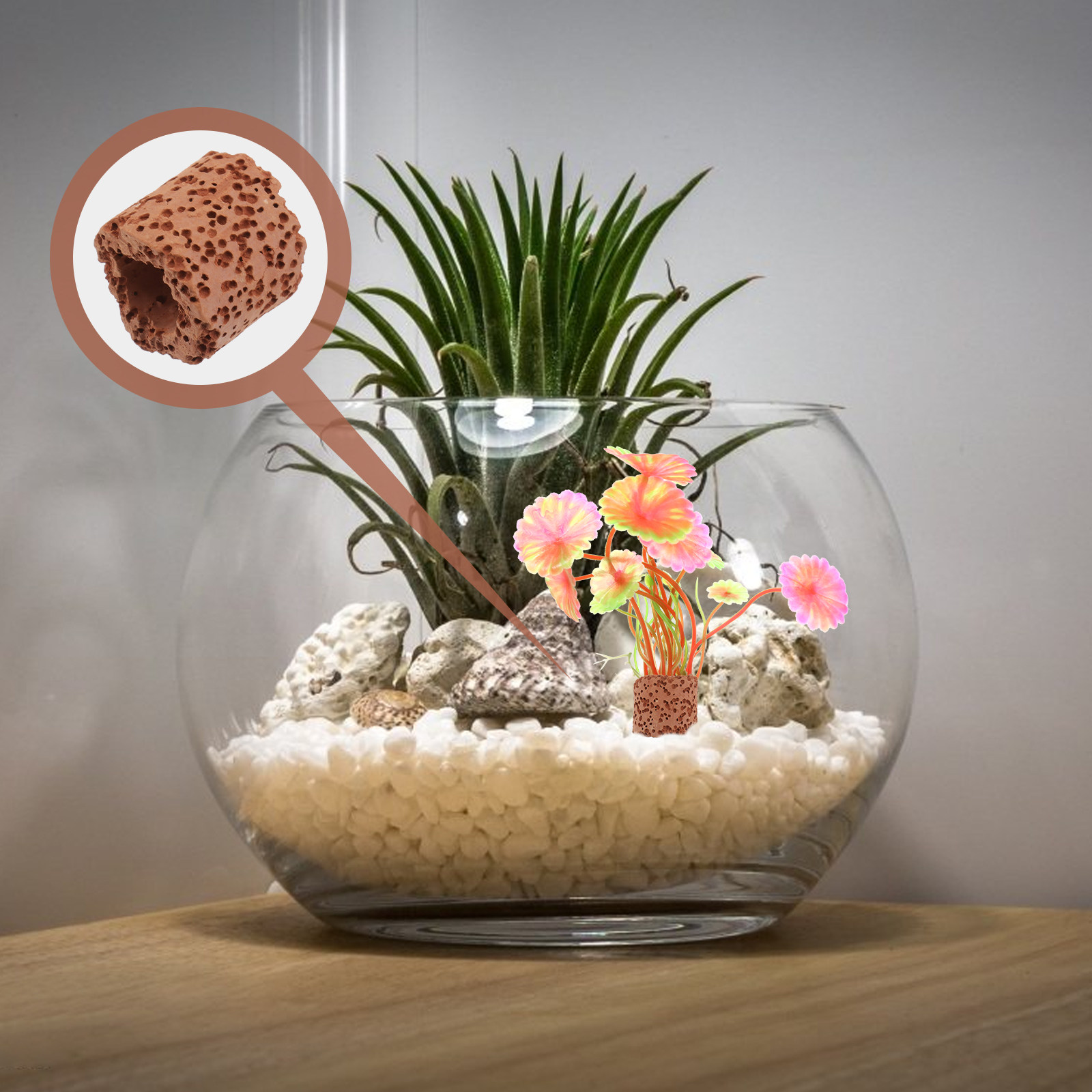 10Pcs Water Plant Fixed Ring S - Aquarium Plant Holder reseña y precio