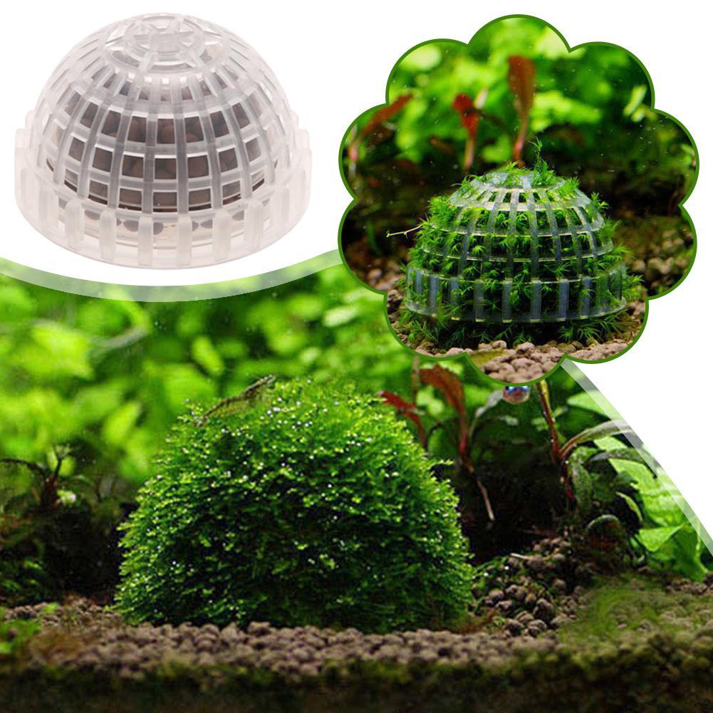 Aquarium Decoration Plants Bio - Aquarium Plant Red reseña y precio