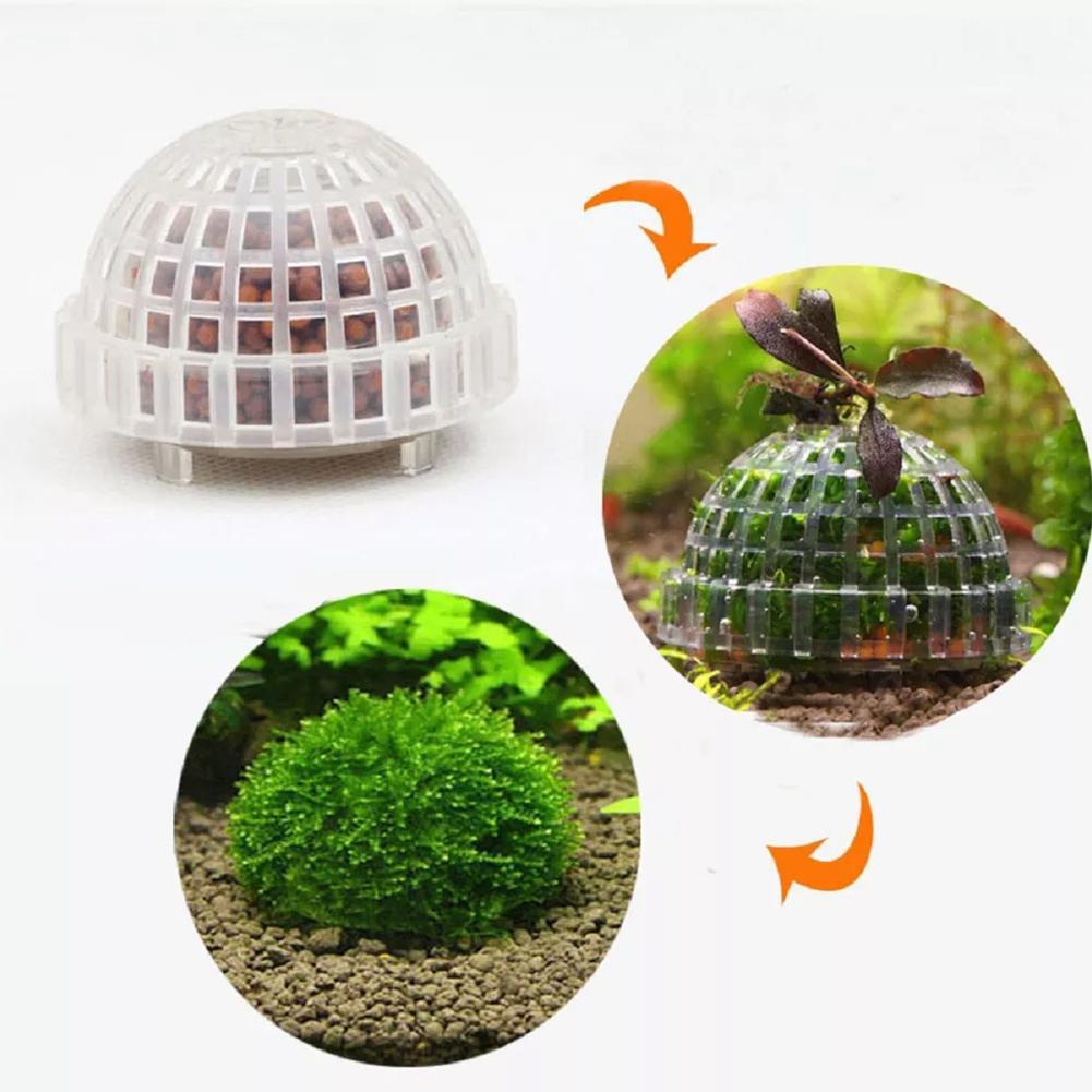 Aquarium Decoration Plants Bio - Aquarium Plant Red reseña y precio