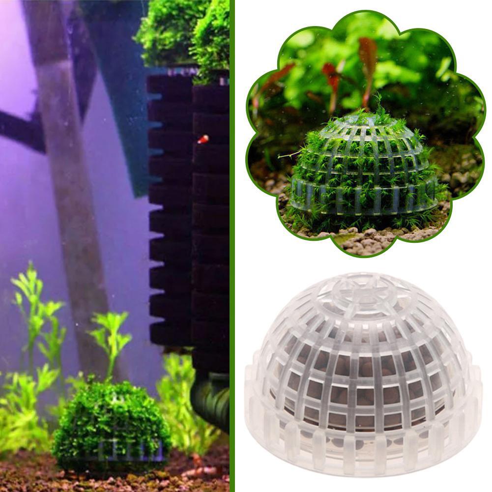 Aquarium Decoration Plants Bio - Aquarium Plant Red reseña y precio