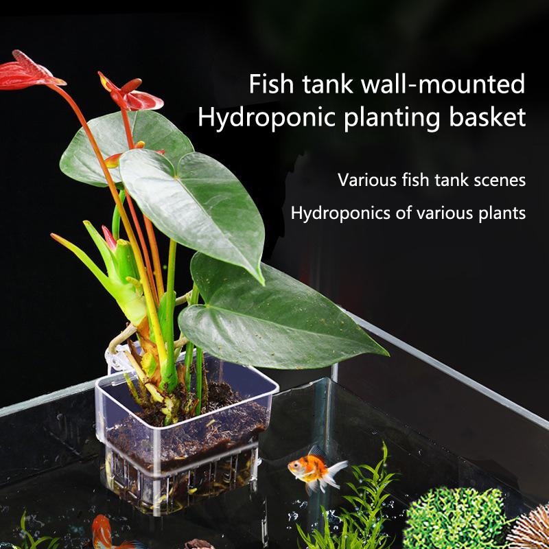 Hollow Wall Mount Aquarium Pla - Emersed Plants Aquarium reseña y precio