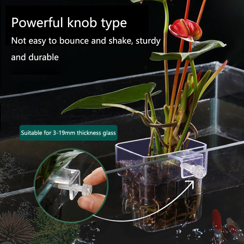 Hollow Wall Mount Aquarium Pla - Emersed Plants Aquarium reseña y precio