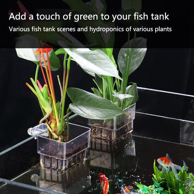 Hollow Wall Mount Aquarium Pla - Emersed Plants Aquarium reseña y precio