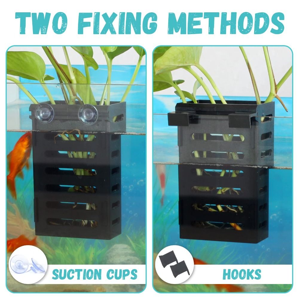 Hydroponic Aquarium Plant Hold - Emersed Plants Aquarium reseña y precio