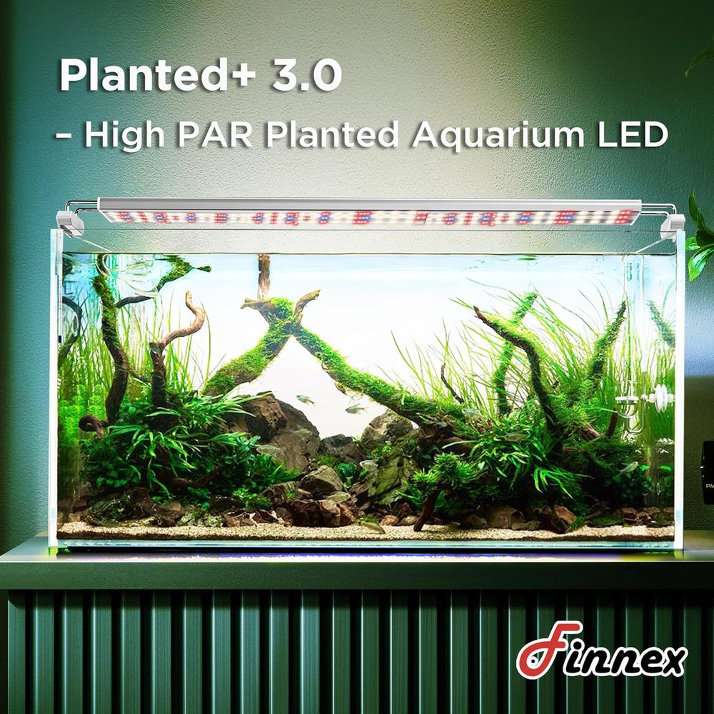 24/7 Plant Growth LED Light, 6 - Aquarium Plant Red reseña y precio