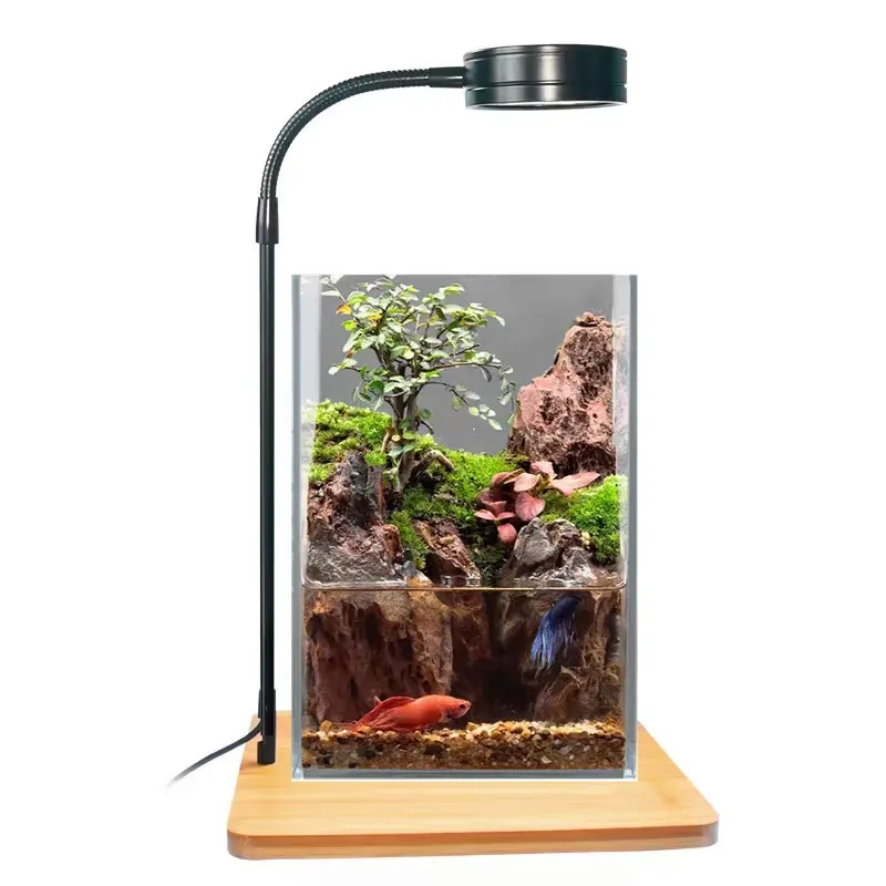Desktop Decoration Timing Fish - Planted Aquarium Hours reseña y precio