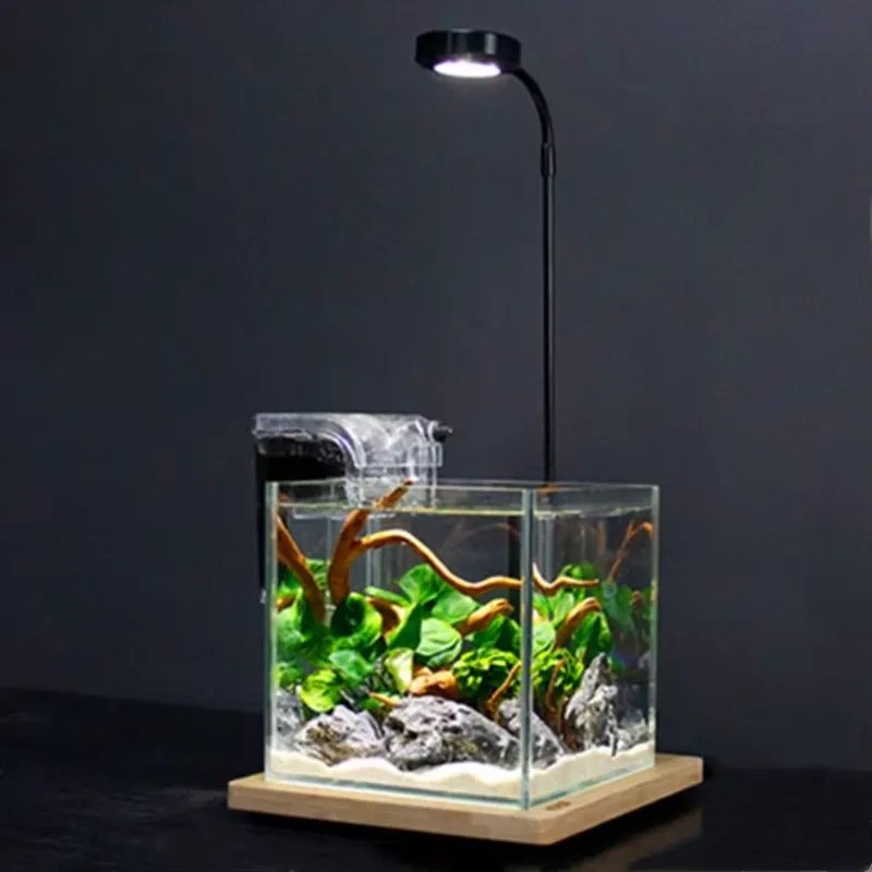 Desktop Decoration Timing Fish - Planted Aquarium Hours reseña y precio