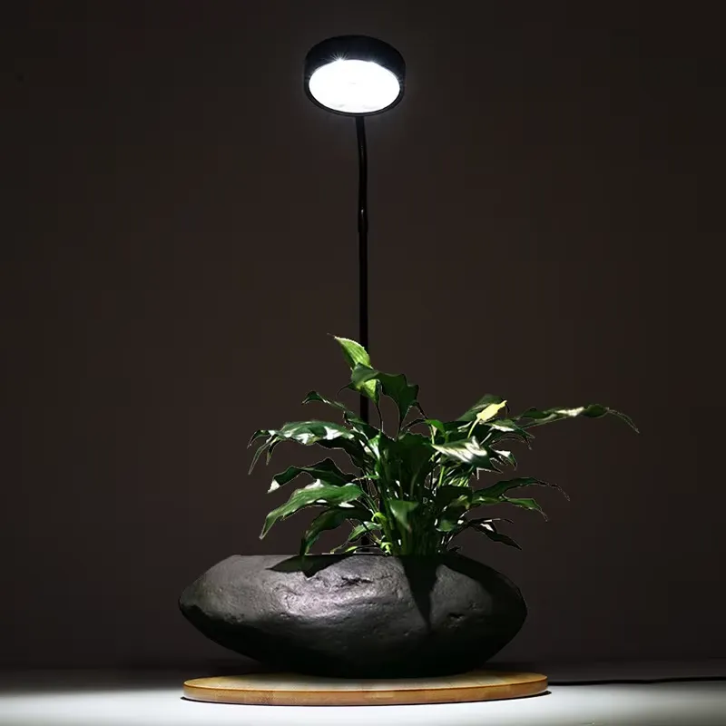 Desktop Decoration Timing Fish - Planted Aquarium Hours reseña y precio