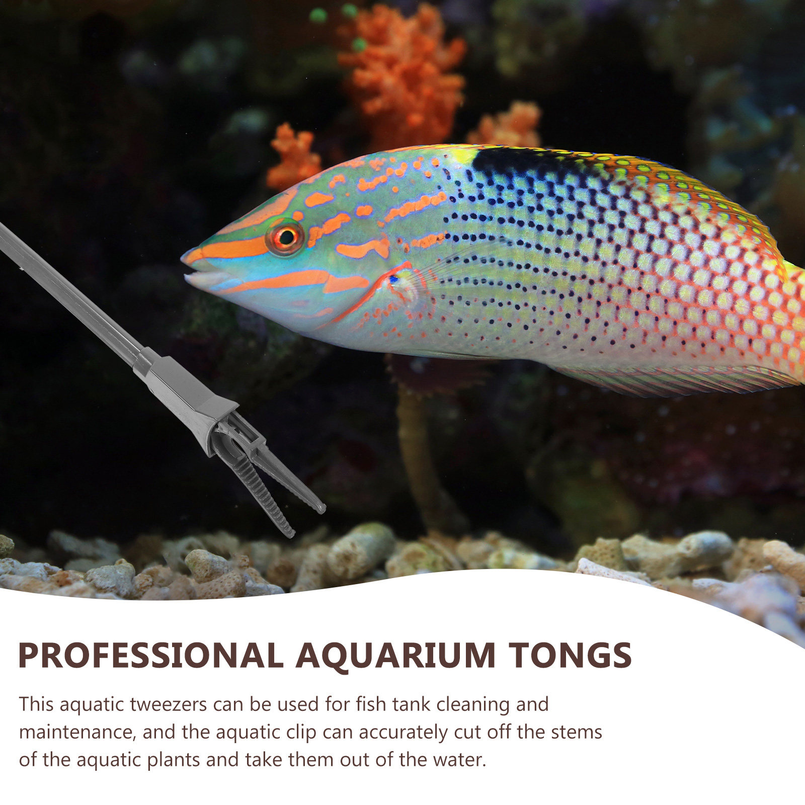 3Pcs Convenient Aquarium Tweez - Planted Aquarium Care reseña y precio