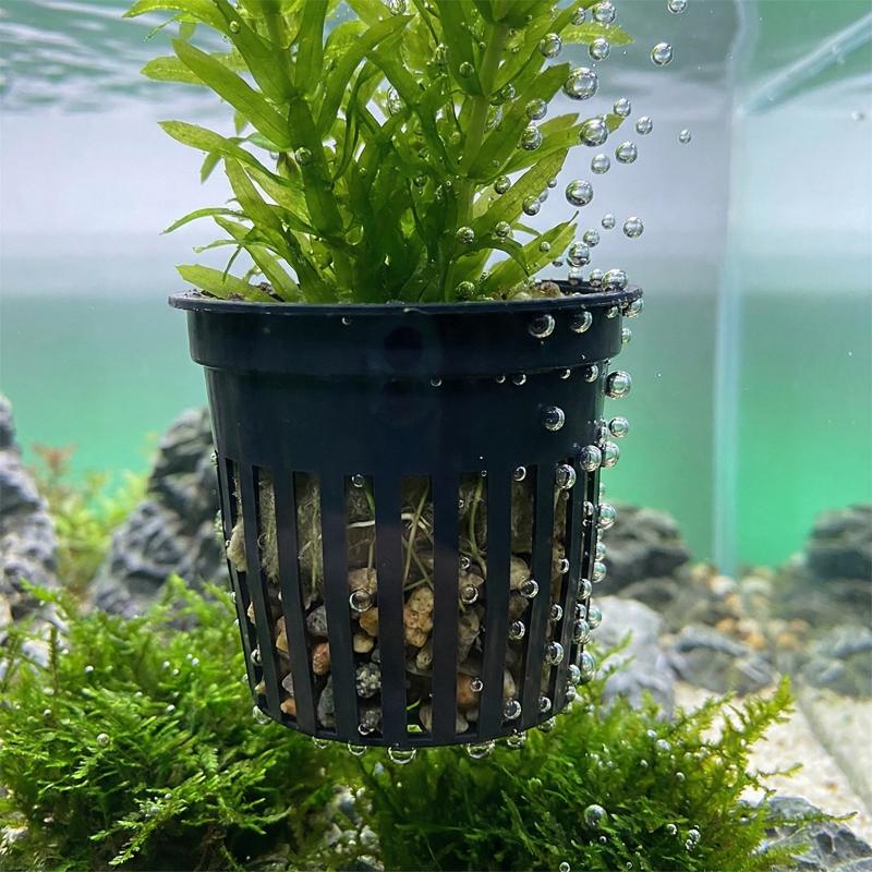 Fish Tank Planter Cups Basket  - Aquarium Plant Holder reseña y precio