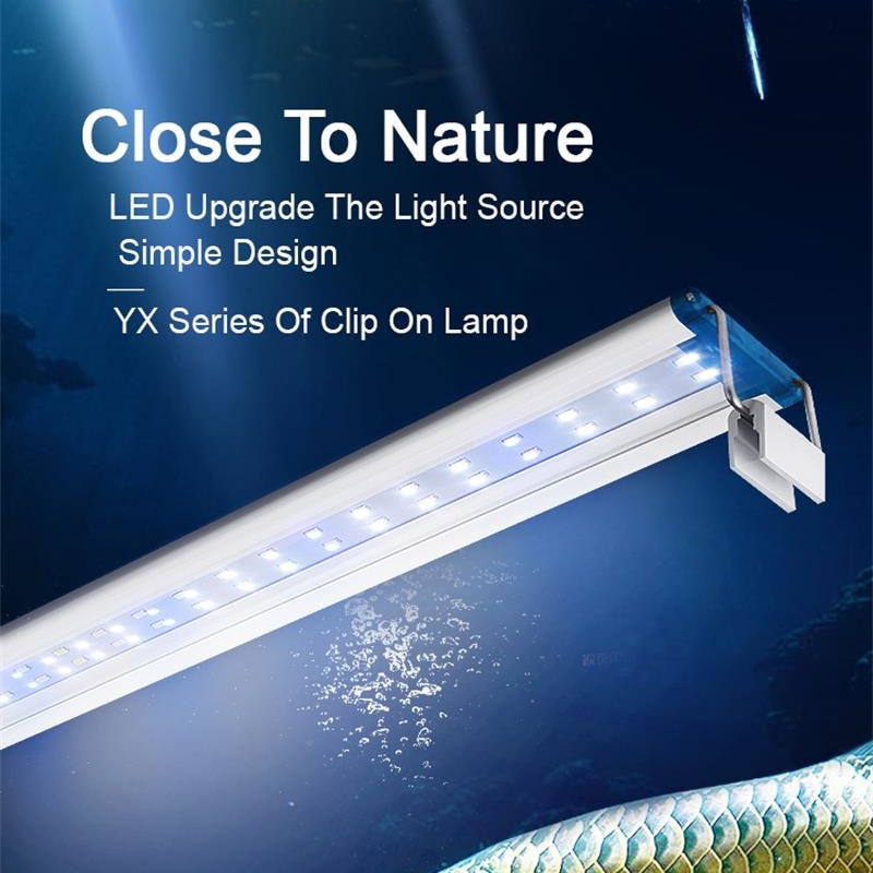 Extensible Waterproof Clip on  - Aquarium Plant Iron reseña y precio