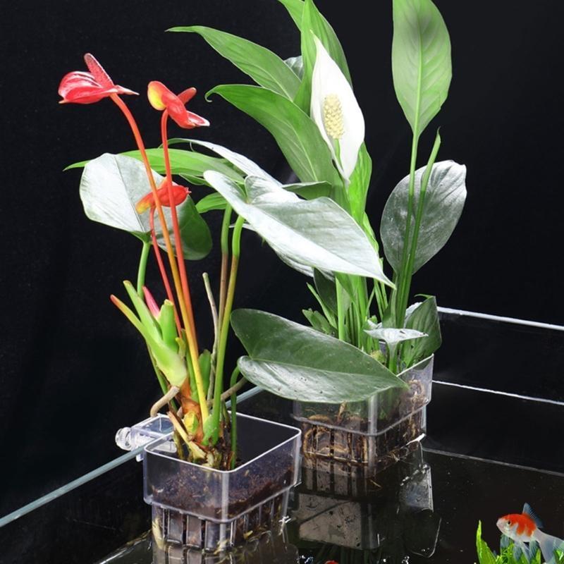 G92C Hangings Aquarium Plant H - Emersed Plants Aquarium reseña y precio
