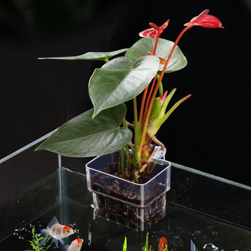 G92C Hangings Aquarium Plant H - Emersed Plants Aquarium reseña y precio