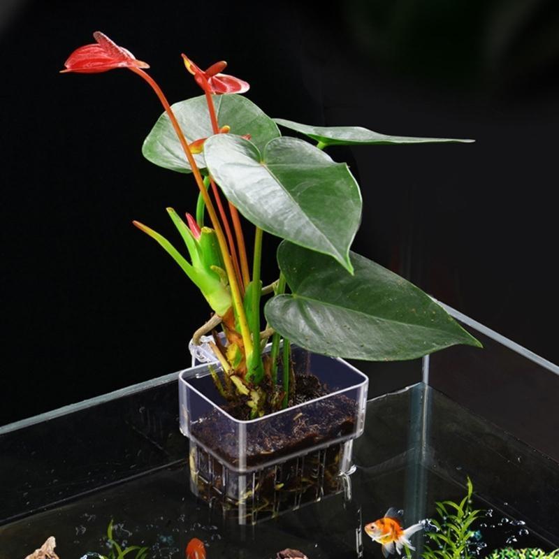 G92C Hangings Aquarium Plant H - Emersed Plants Aquarium reseña y precio