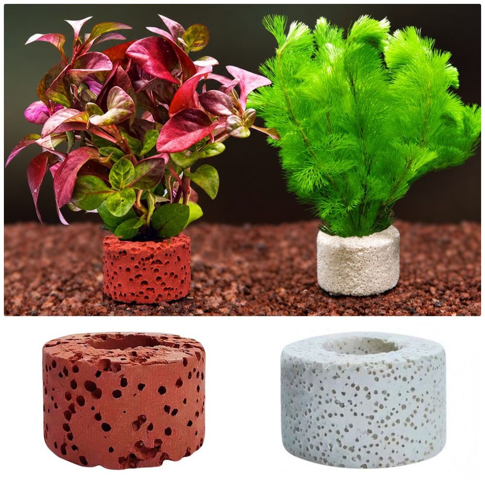 10Pcs Weighted Ring Aquatic Pl - Planted Aquarium Pictures reseña y precio