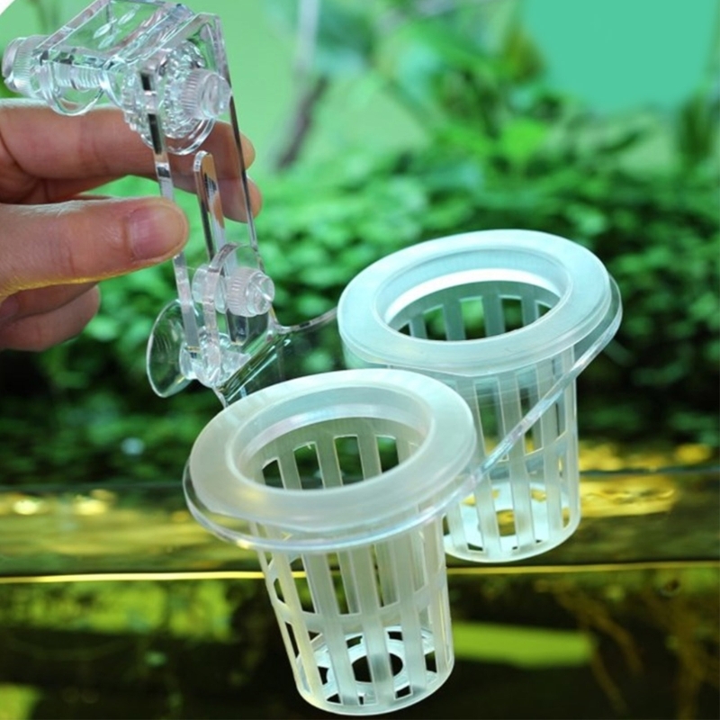 Aquariums Plant Stand Plant Cu - Emersed Plants Aquarium reseña y precio