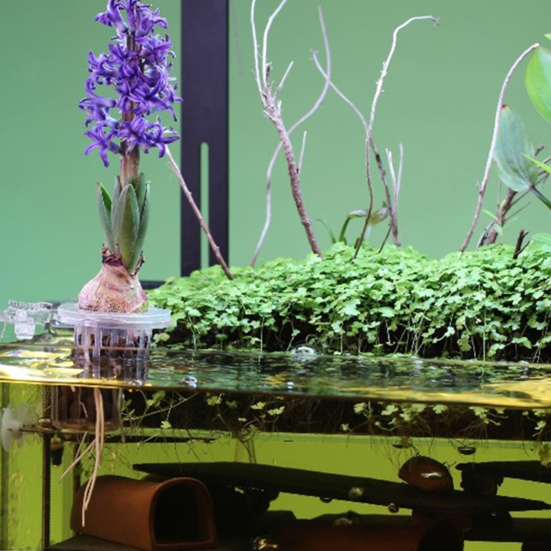 Aquariums Plant Stand Plant Cu - Emersed Plants Aquarium reseña y precio