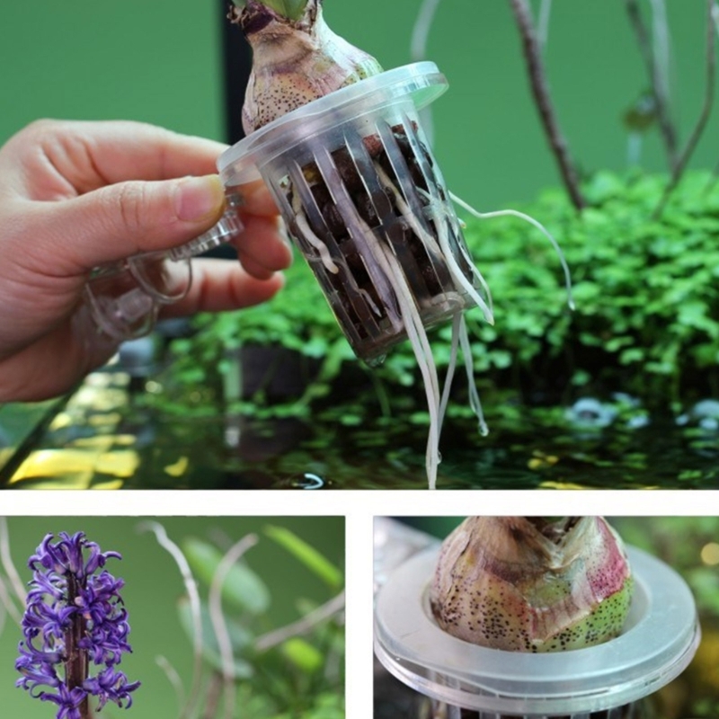 Aquariums Plant Stand Plant Cu - Emersed Plants Aquarium reseña y precio
