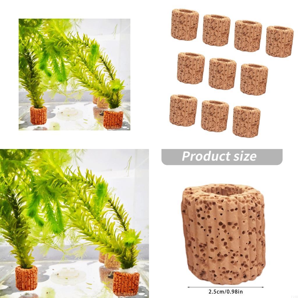 F19B Paottery Aquariums Plant  - Emersed Plants Aquarium reseña y precio