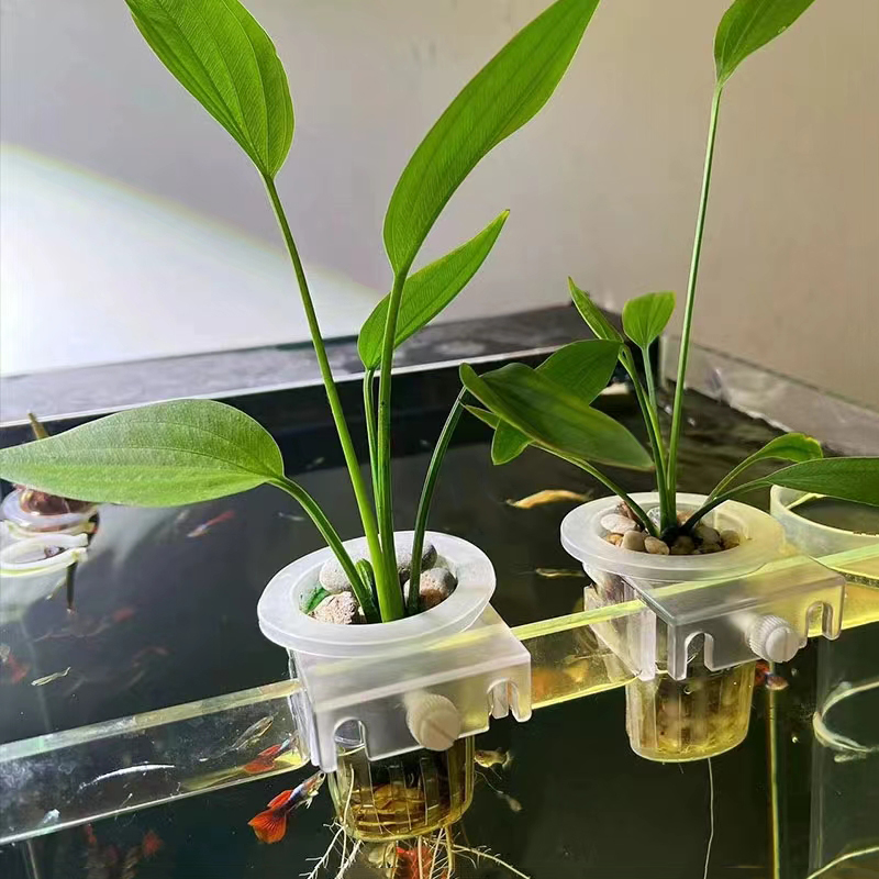 Aquarium Planting Basket Hydro - Aquarium Plant Holder reseña y precio