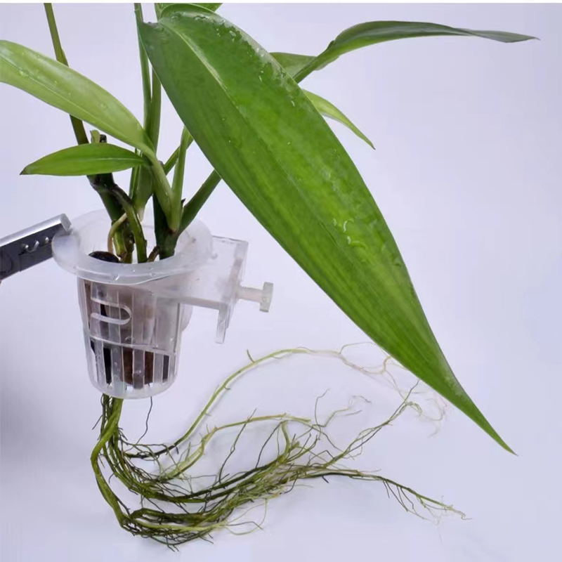 Aquarium Planting Basket Hydro - Aquarium Plant Holder reseña y precio