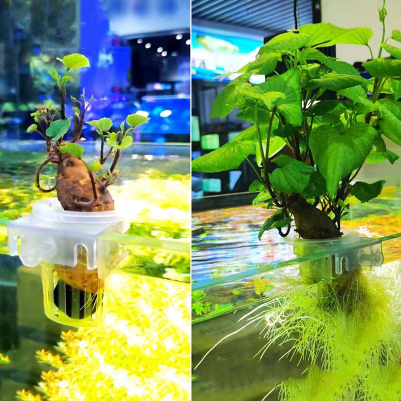 Aquarium Planting Basket Hydro - Aquarium Plant Holder reseña y precio