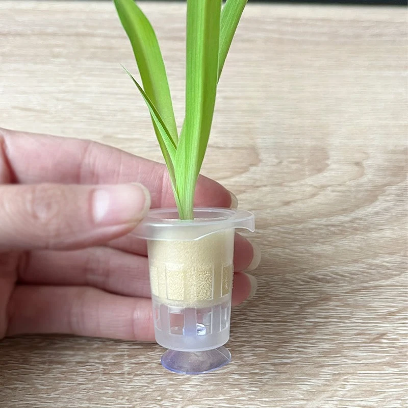 50pcs/10pcs Aquarium Planting  - Aquarium Plant Holder reseña y precio