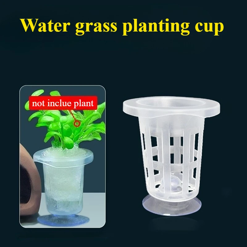 50pcs/10pcs Aquarium Planting  - Aquarium Plant Holder reseña y precio