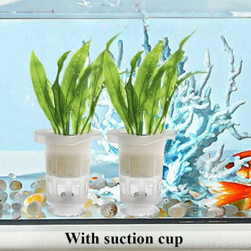 50pcs/10pcs Aquarium Planting  - Aquarium Plant Holder reseña y precio
